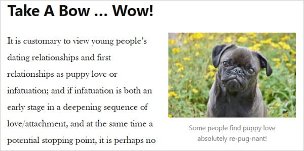 Sample post with text and image of puppy.