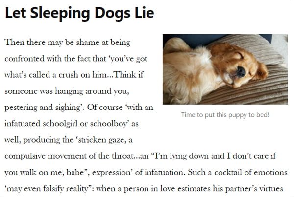 sample post image with fake text and picture of sleeping pup.