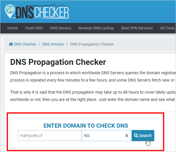 DNS Checker - DNS Propagation Checker