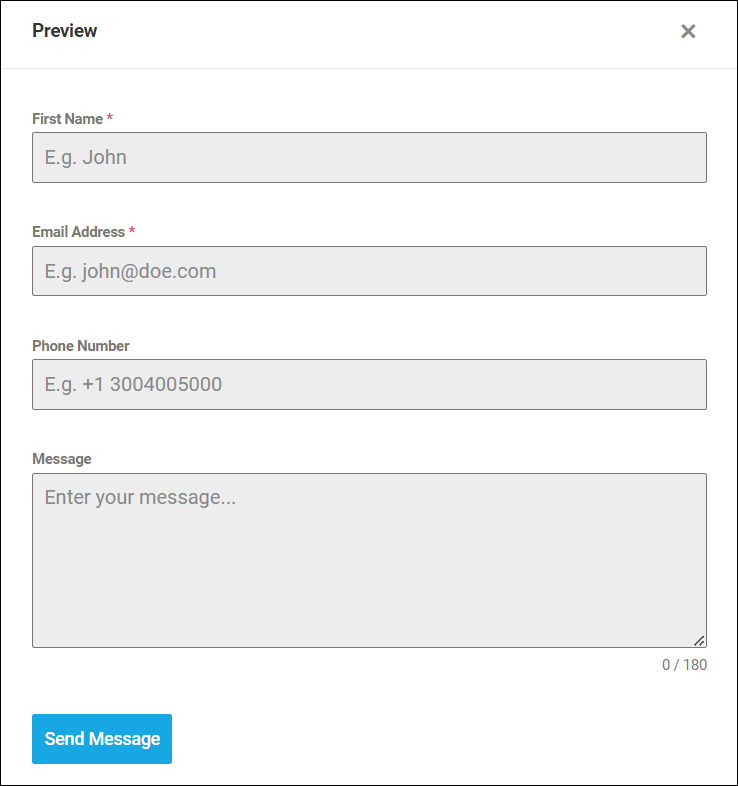 Form preview