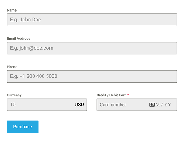 Example of a payment form.