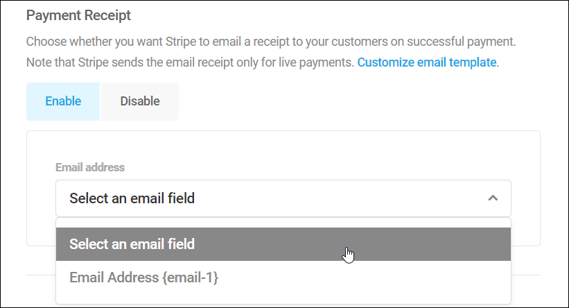 Stripe Payment Receipt fields.