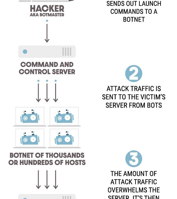 DDoS Coverage Information – The best way to Assist Offer protection to Your WordPress Web page From Assaults