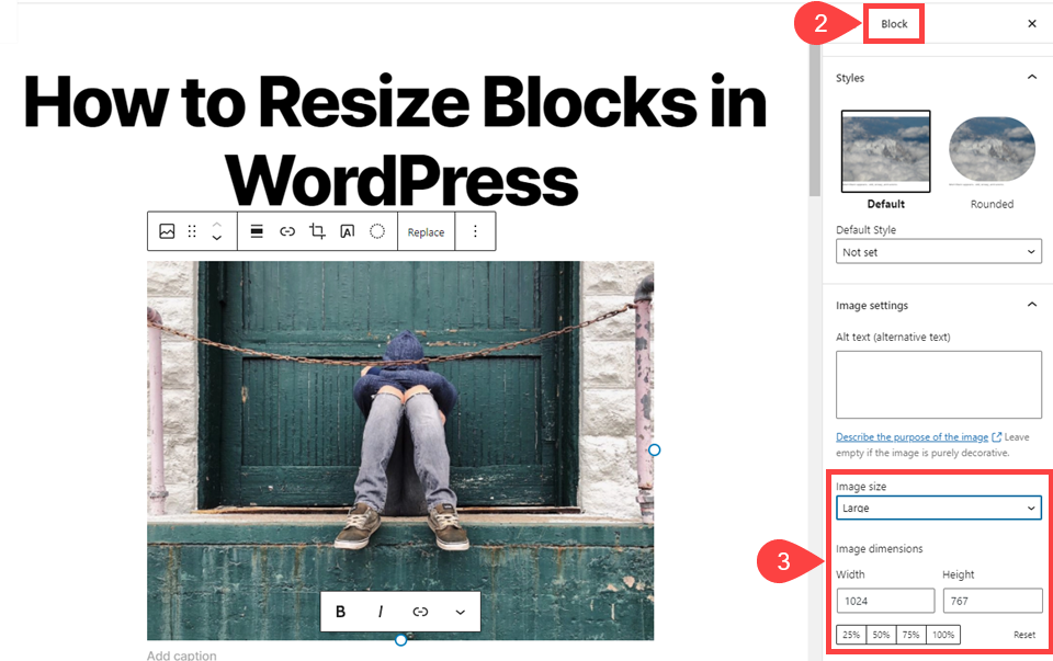 image options for how to resize blocks in wordpress
