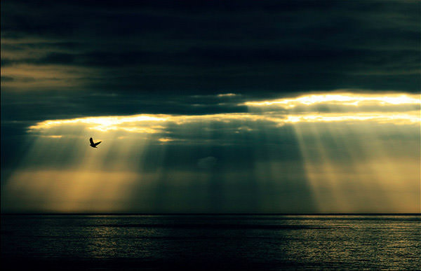 Every cloud has a silver lining