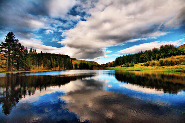Loch Tree Clouds Reflections