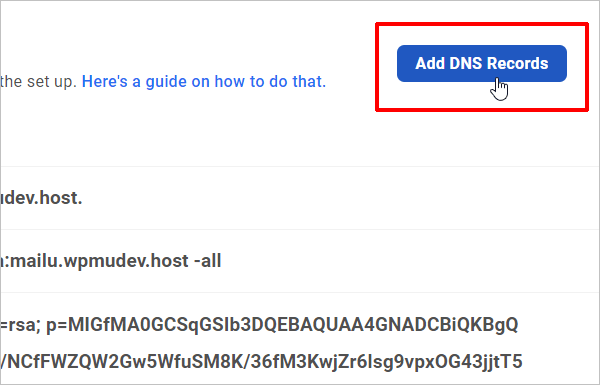 Add DNS Records button.