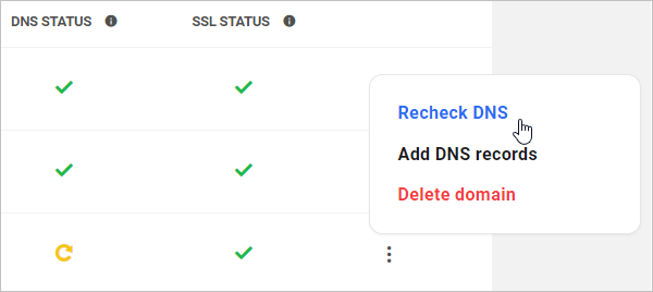 Check DNS Status