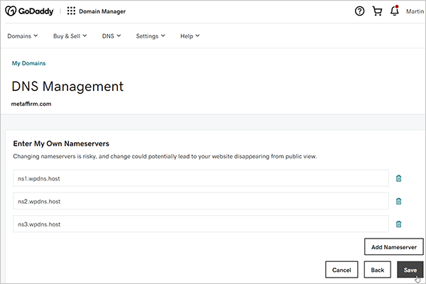 GoDaddy Nameserver screen.