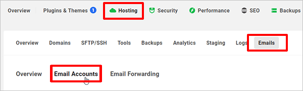 The Hub - Hosting - Emails - Email Accounts