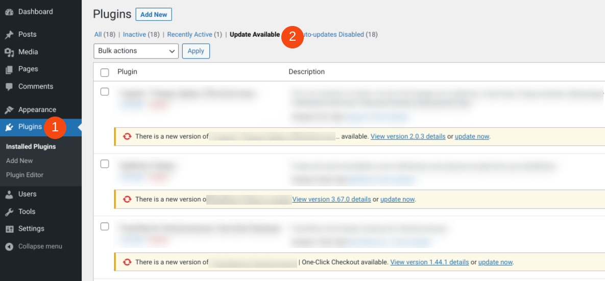 The plugins updates screen in WordPress.