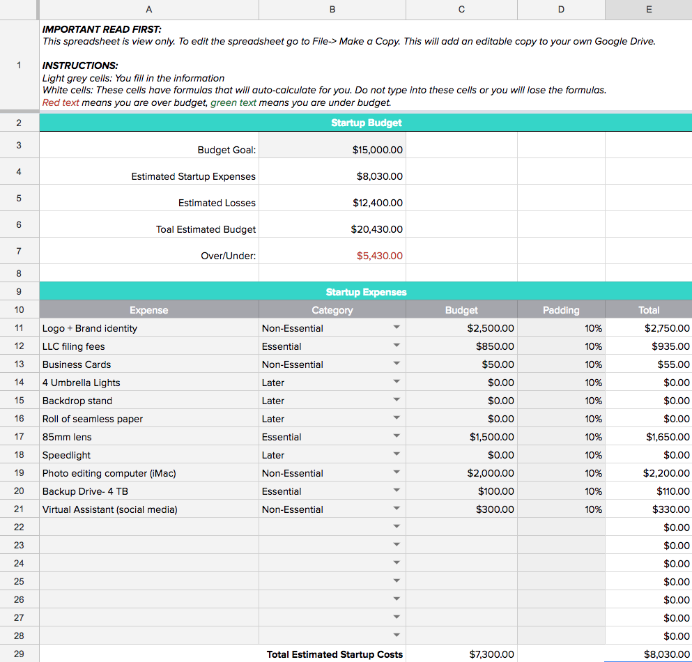 Startup budget template