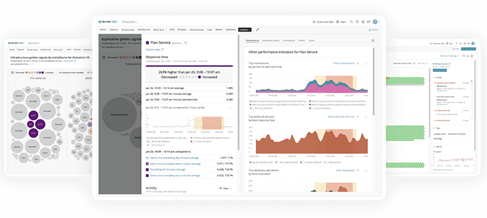 A New Relic overview.