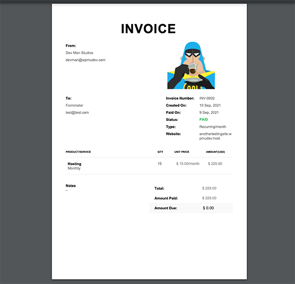 Preview of invoice.