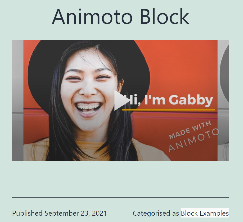 An Animoto block on a blog page