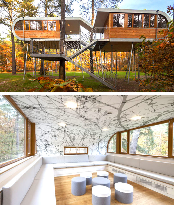 the tree house baumraum