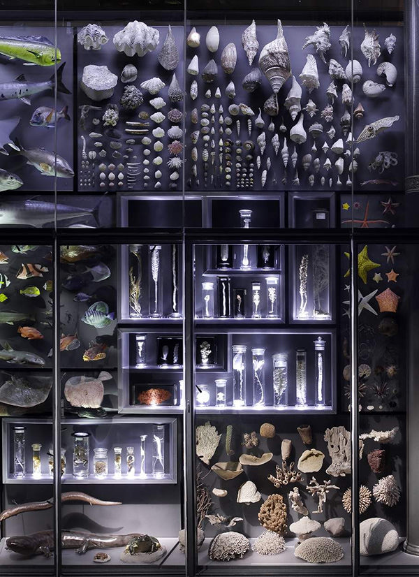 biodiversity-organized-neatly