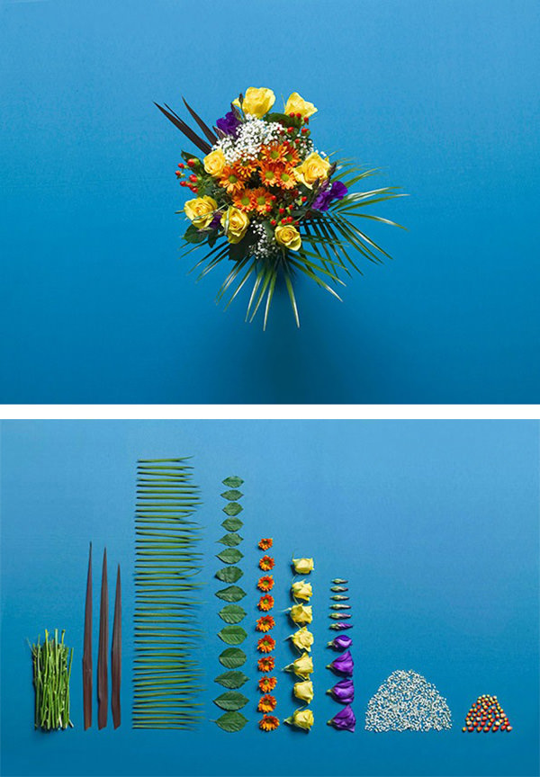 flowers-organized-neatly