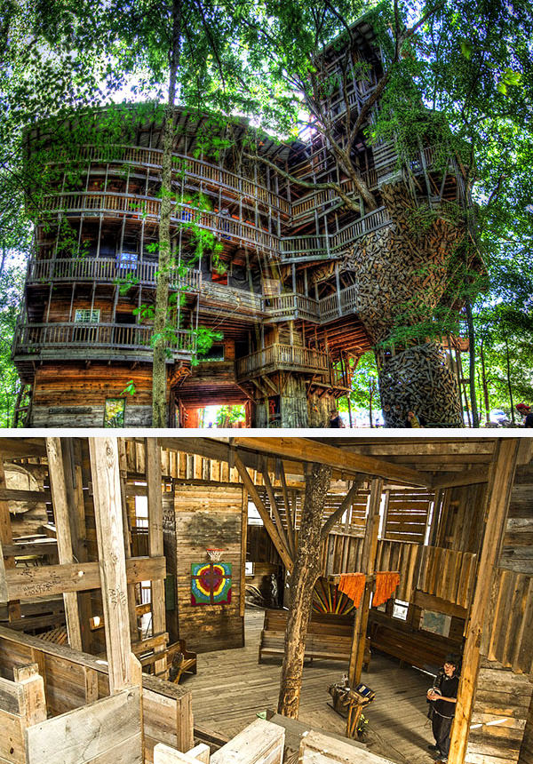 world's biggest tree house by horace burgess