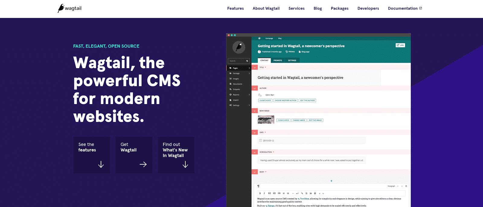 Screenshot of the Wagtail CMS homepage.