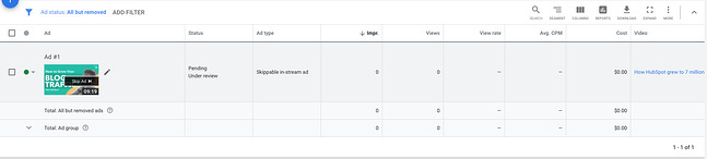 YouTube ads view rate