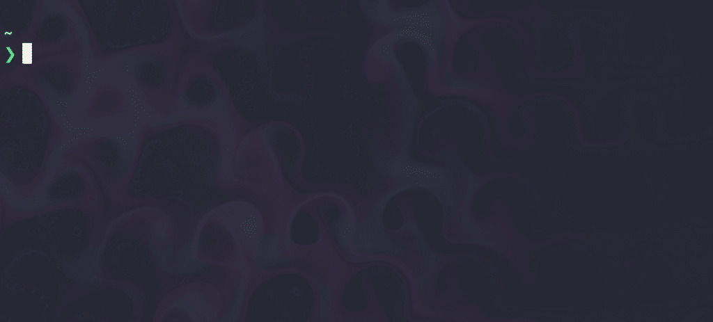 The Linux terminal emulator.