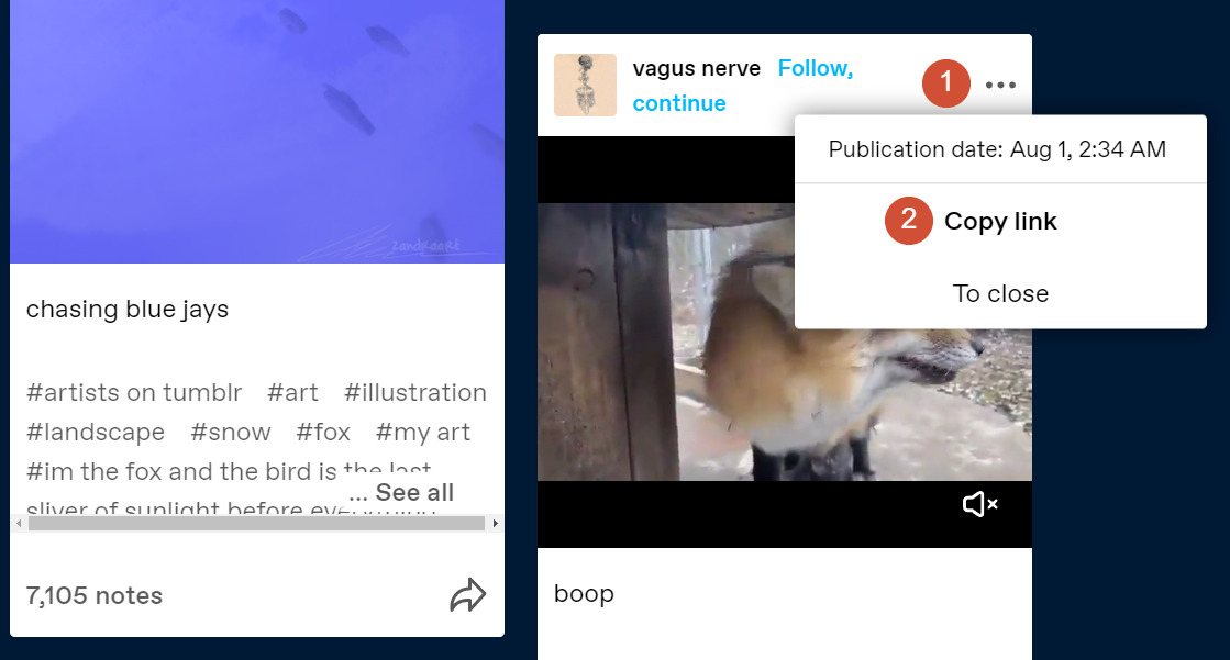 Copying a Tumblr's publication URL