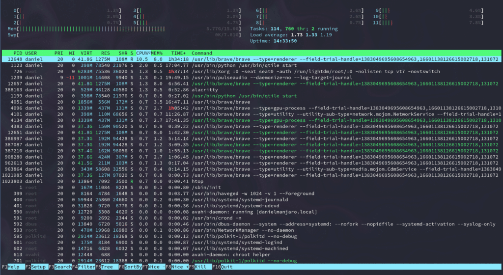 The htop interface.