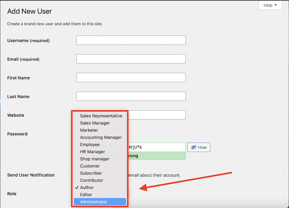 wordpress security audit