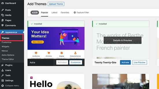 Install WordPress theme