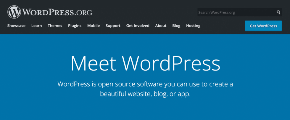 Is Loose WordPress Webhosting Value It? 10 Components to Believe