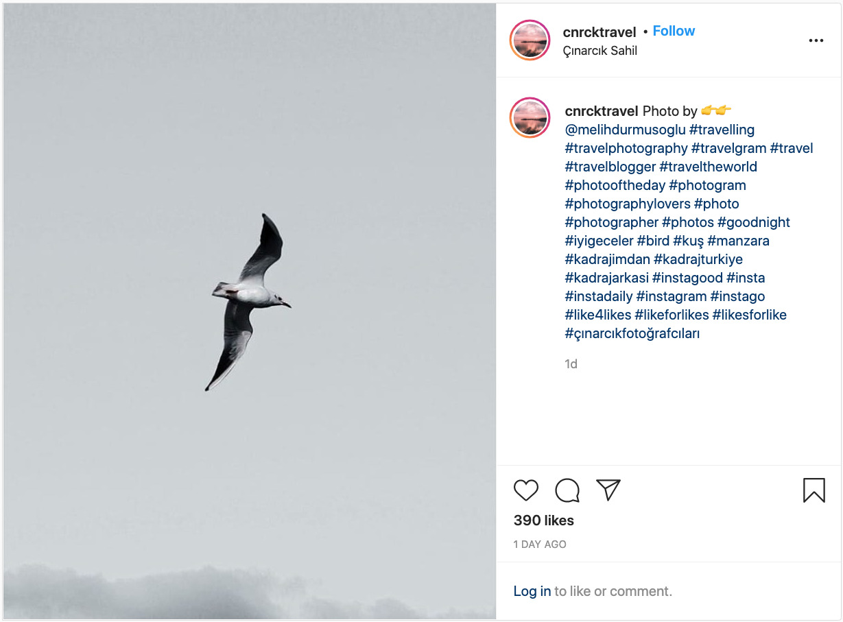 Instagram post with a photo of a bird and the hashtag #instagram