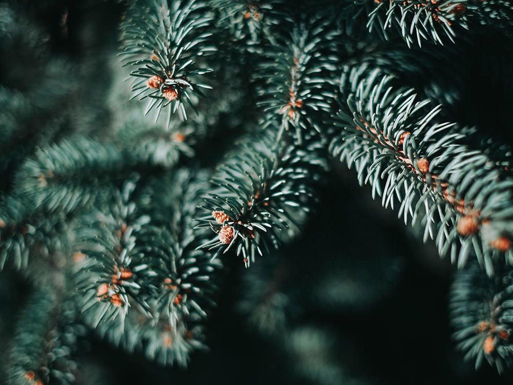 Christmas wallpapers 4k