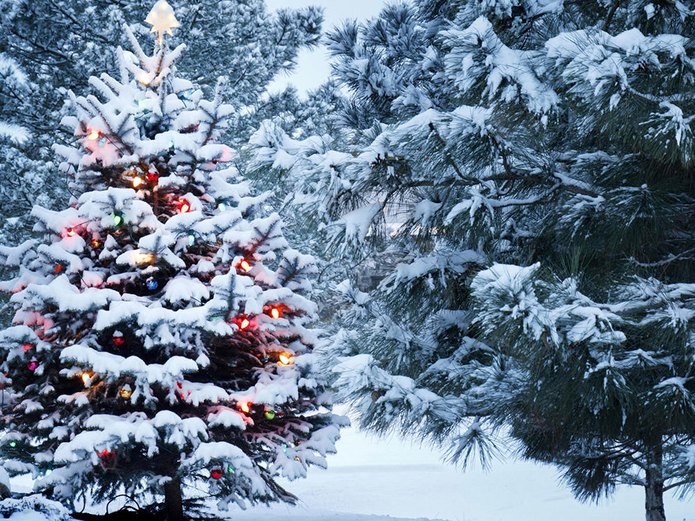 Christmas wallpapers 4k