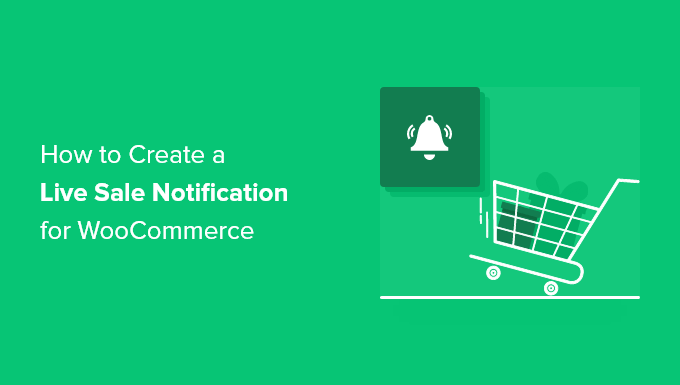 How to Create a Live Sale Notification for WooCommerce