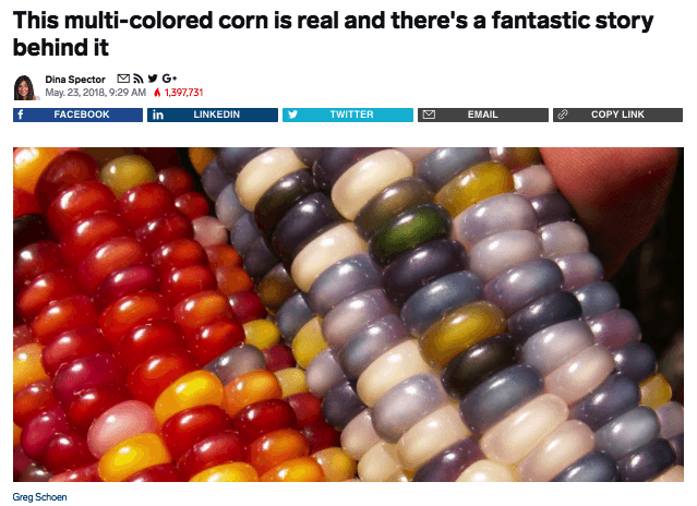 Native Advertising Example: Colored Corn on Business Insider