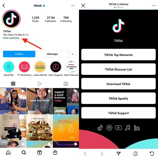 instagram Linktree example: tiktok