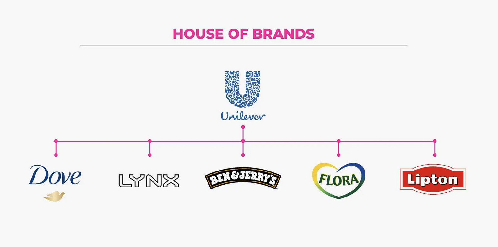 brand architecture example: house of brands