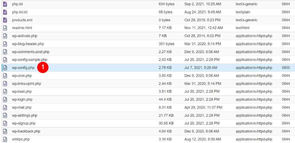 Accessing Post Revisions with FTP