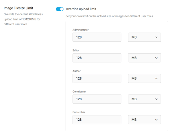 Branda upload limit by role