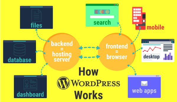 An inforgraphic showing a quick overview of how WordPress works