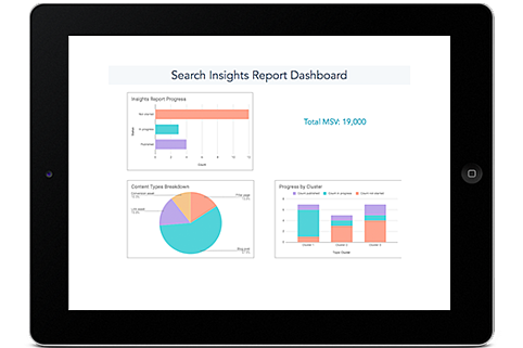 search insights report