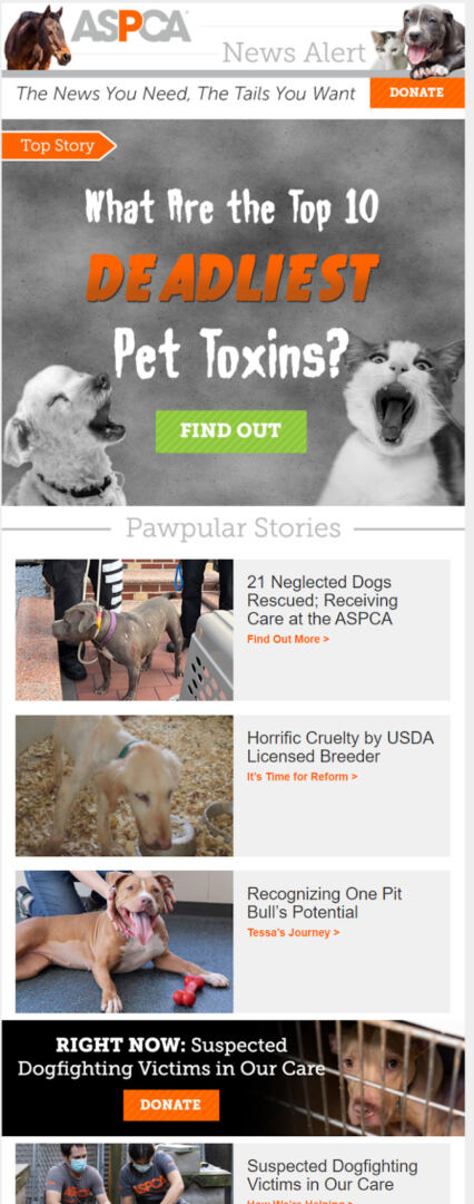 ASPCA email newsletter example
