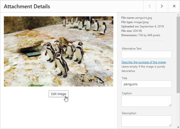 Screenshot edit image in WordPress media library.