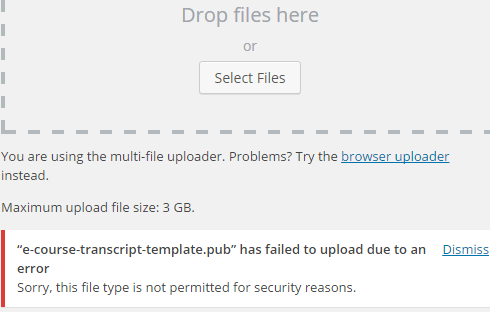 Error message in WordPress: File type not permitted.