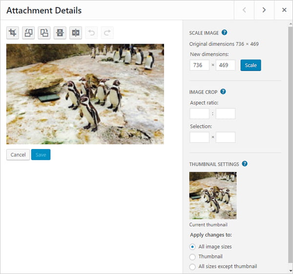 Edit image in WordPress Media Library - Attachment Details screen.