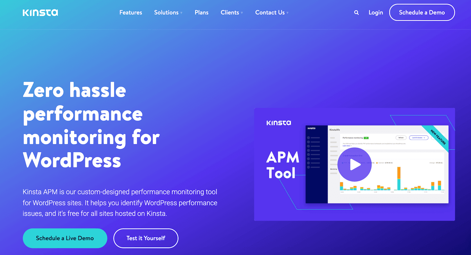 Kinsta APM tool