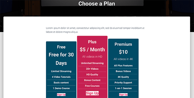 Pricing page example