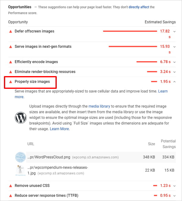 Google PageSpeed Insights report highlighting properly size images.