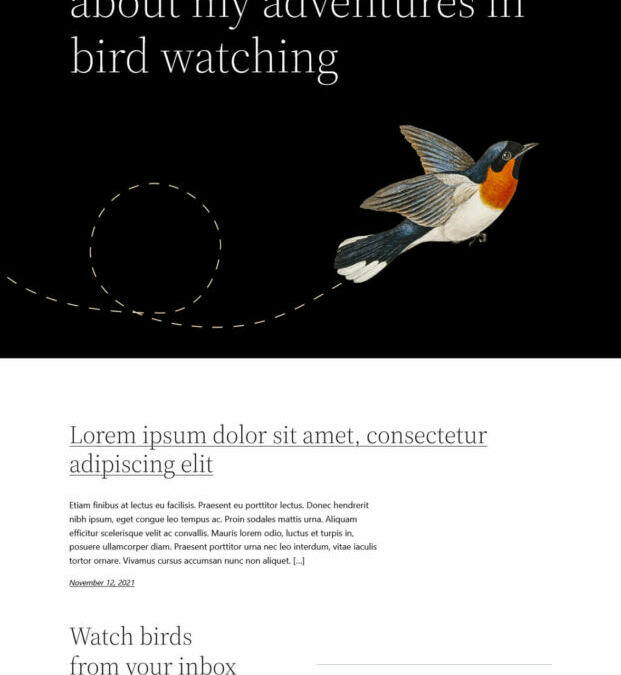 Twenty Twenty-Two Theme Evaluate: A Complete-Fledged Block Theme